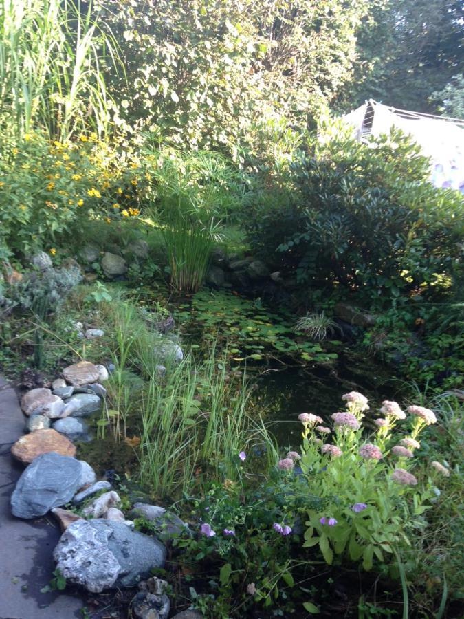 Ruhige Mit Schoenem Eigengarten In Am Millstaettersee