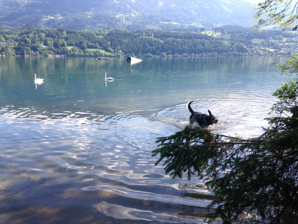 Apartment Ruhige Mit Schoenem Eigengarten In Am Millstaettersee