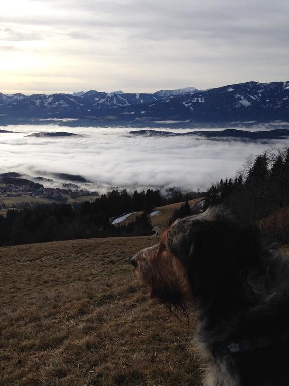 Apartament Ruhige Mit Schoenem Eigengarten In Am Millstaettersee Seeboden