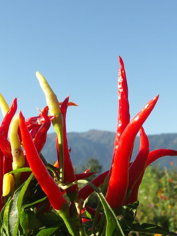 Ruhige Mit Schoenem Eigengarten In Am Millstaettersee Seeboden