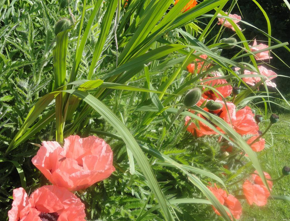 Apartment Ruhige Mit Schoenem Eigengarten In Am Millstaettersee *