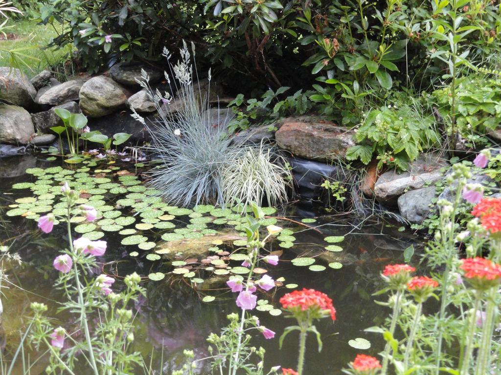 Apartment Ruhige Mit Schoenem Eigengarten In Am Millstaettersee